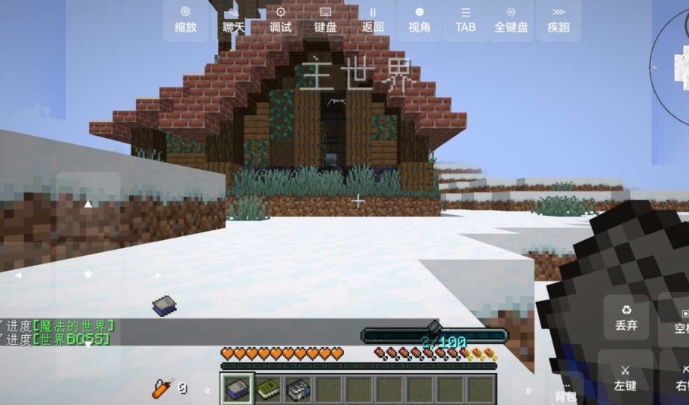 我的世界:脆骨症