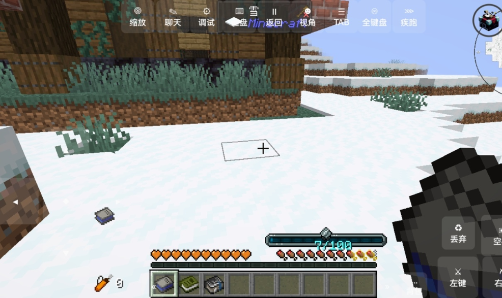 我的世界:脆骨症