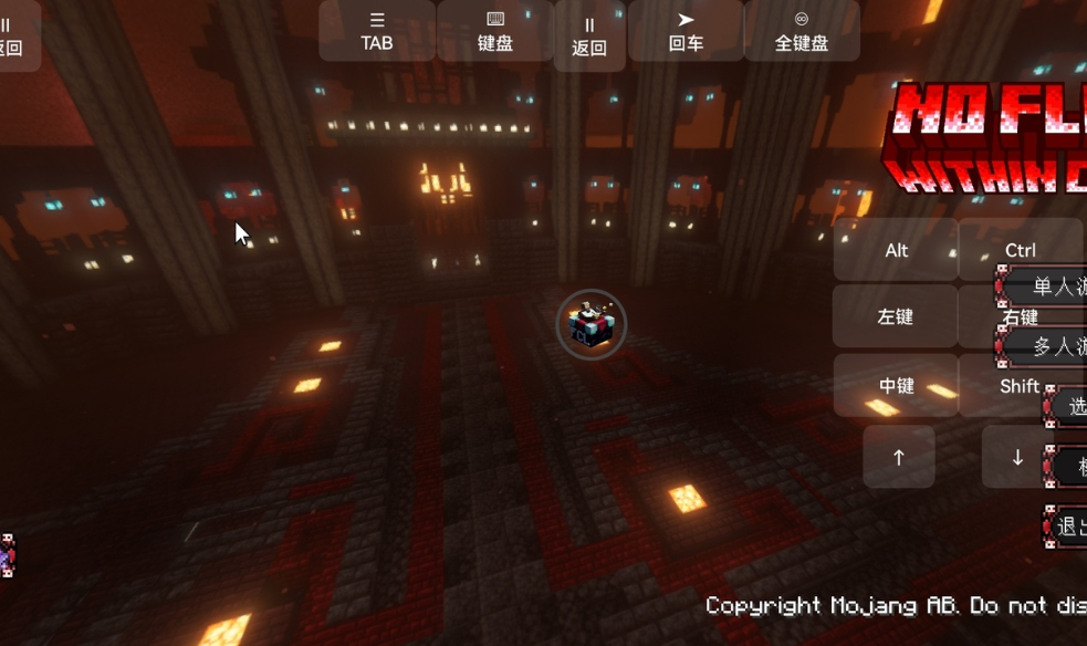 我的世界:脆骨症