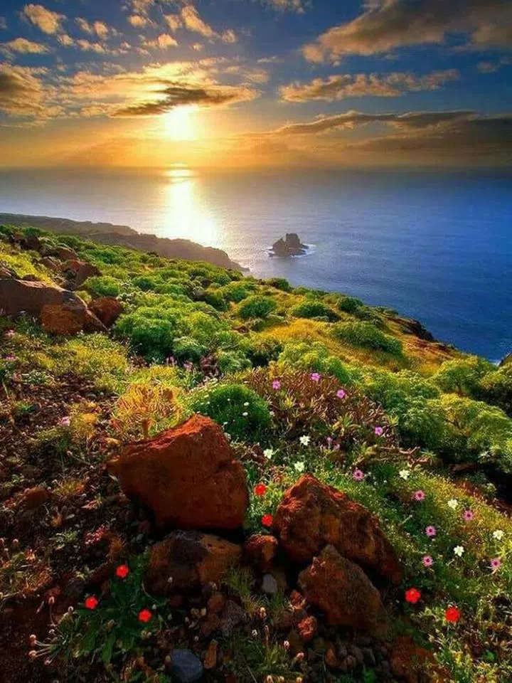 拼图游戏:经典拼图 拼图游戏:经典拼图