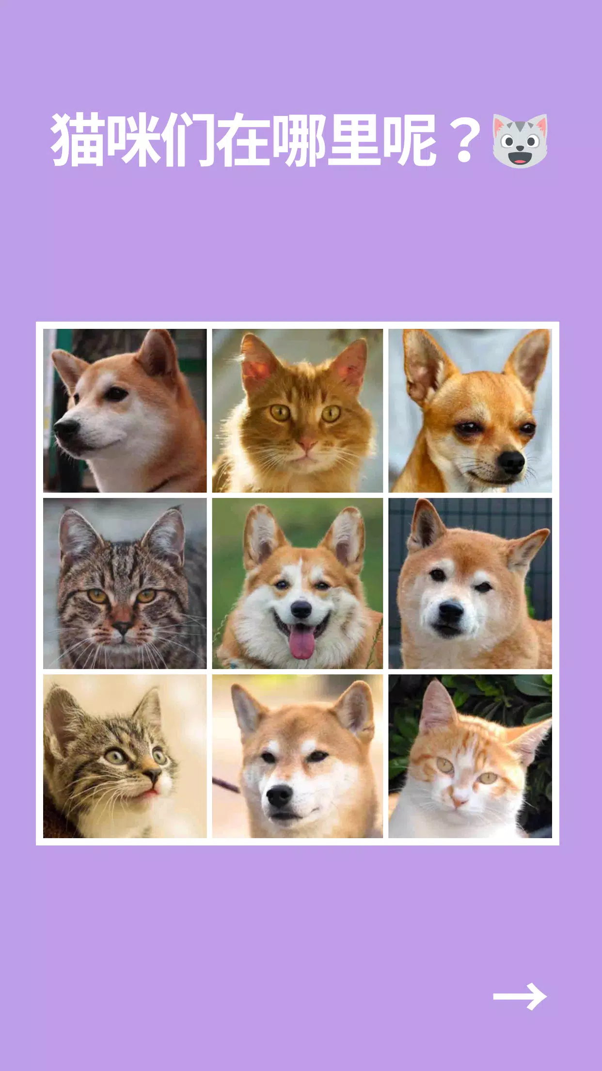 我不是机器人:荒唐的猜谜 我不是机器人:荒唐的猜谜