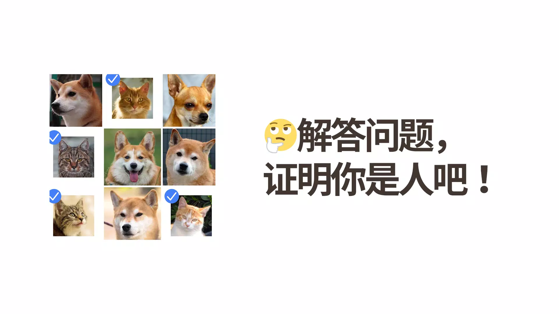 我不是机器人:荒唐的猜谜 我不是机器人:荒唐的猜谜