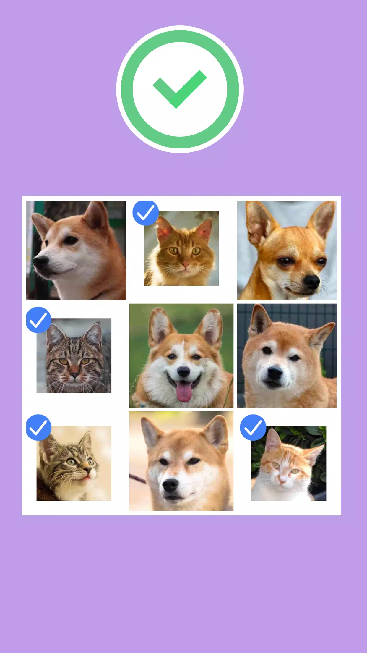 我不是机器人:荒唐的猜谜 我不是机器人:荒唐的猜谜