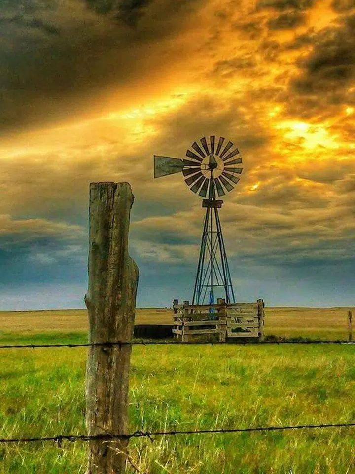 拼图游戏:经典拼图 拼图游戏:经典拼图