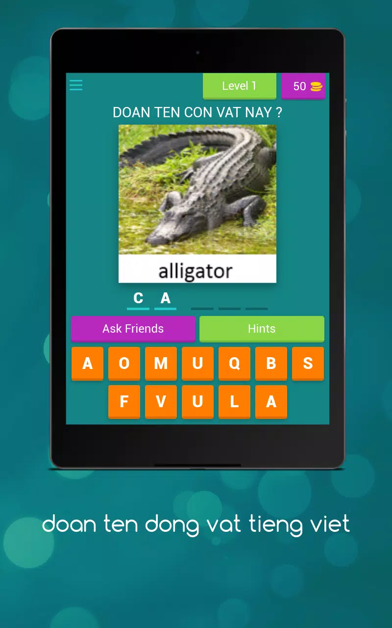 猜猜动物的英文名字