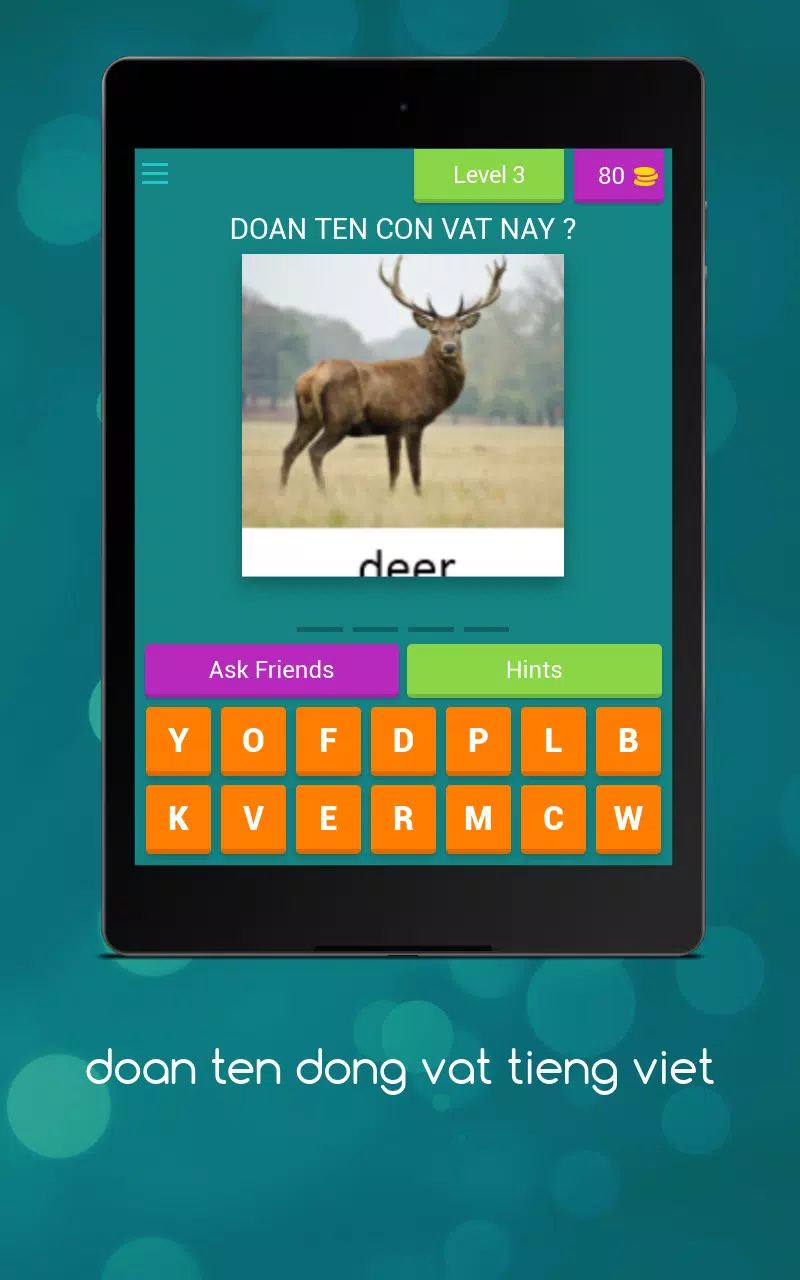 猜猜动物的英文名字