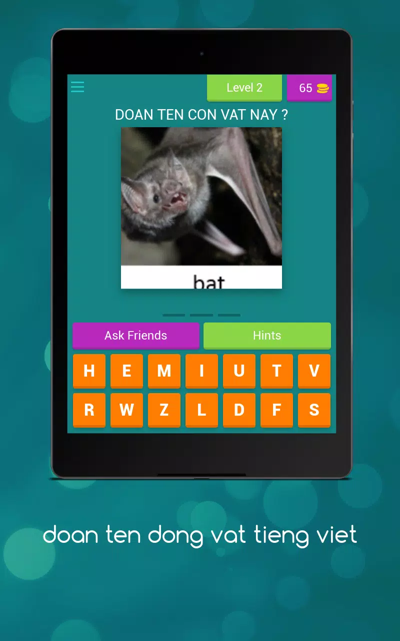 猜猜动物的英文名字