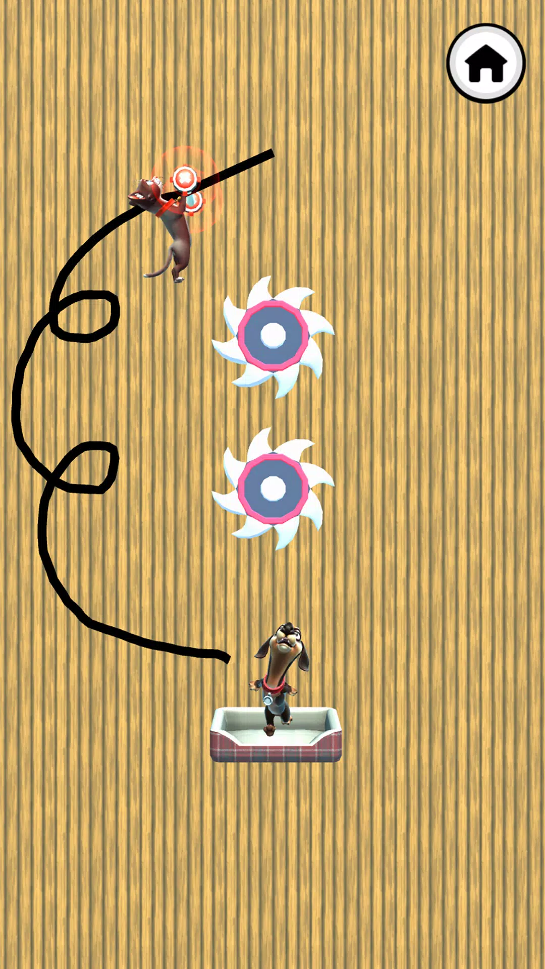 猫狗大战 猫狗大战