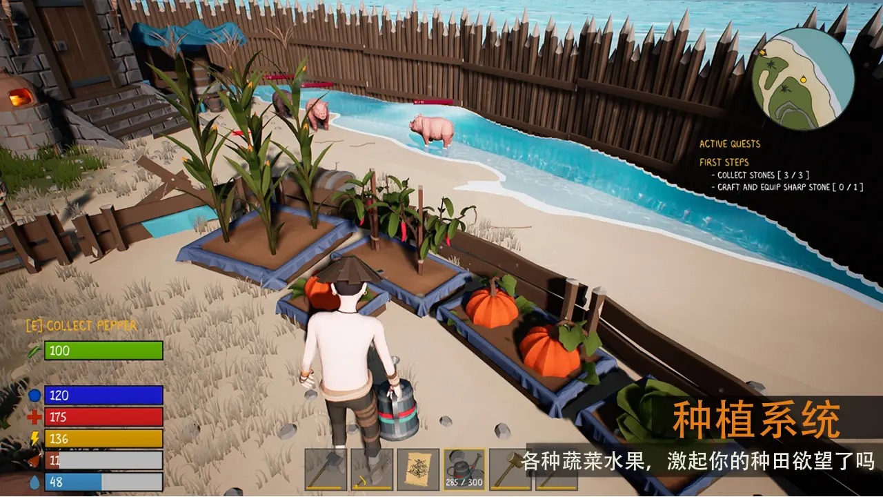 生存启示录:终末之日