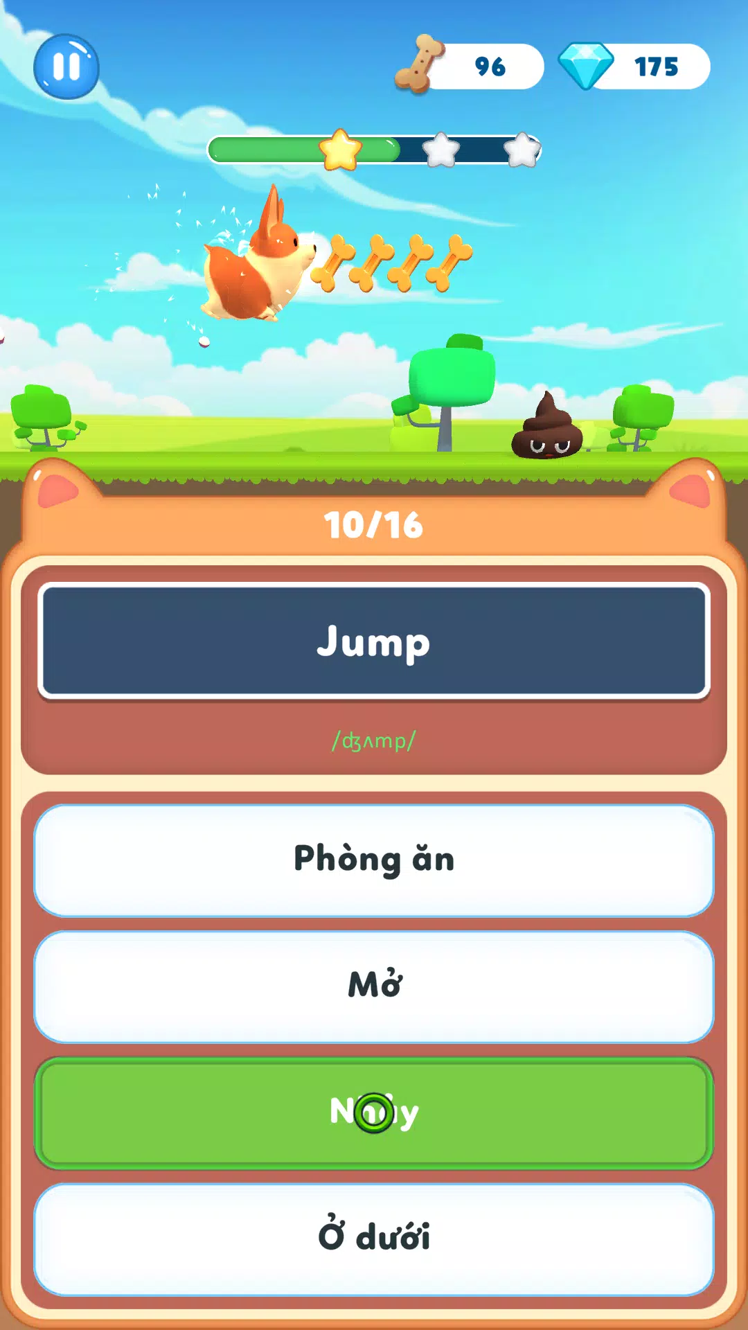 与Bucha一起学习语言