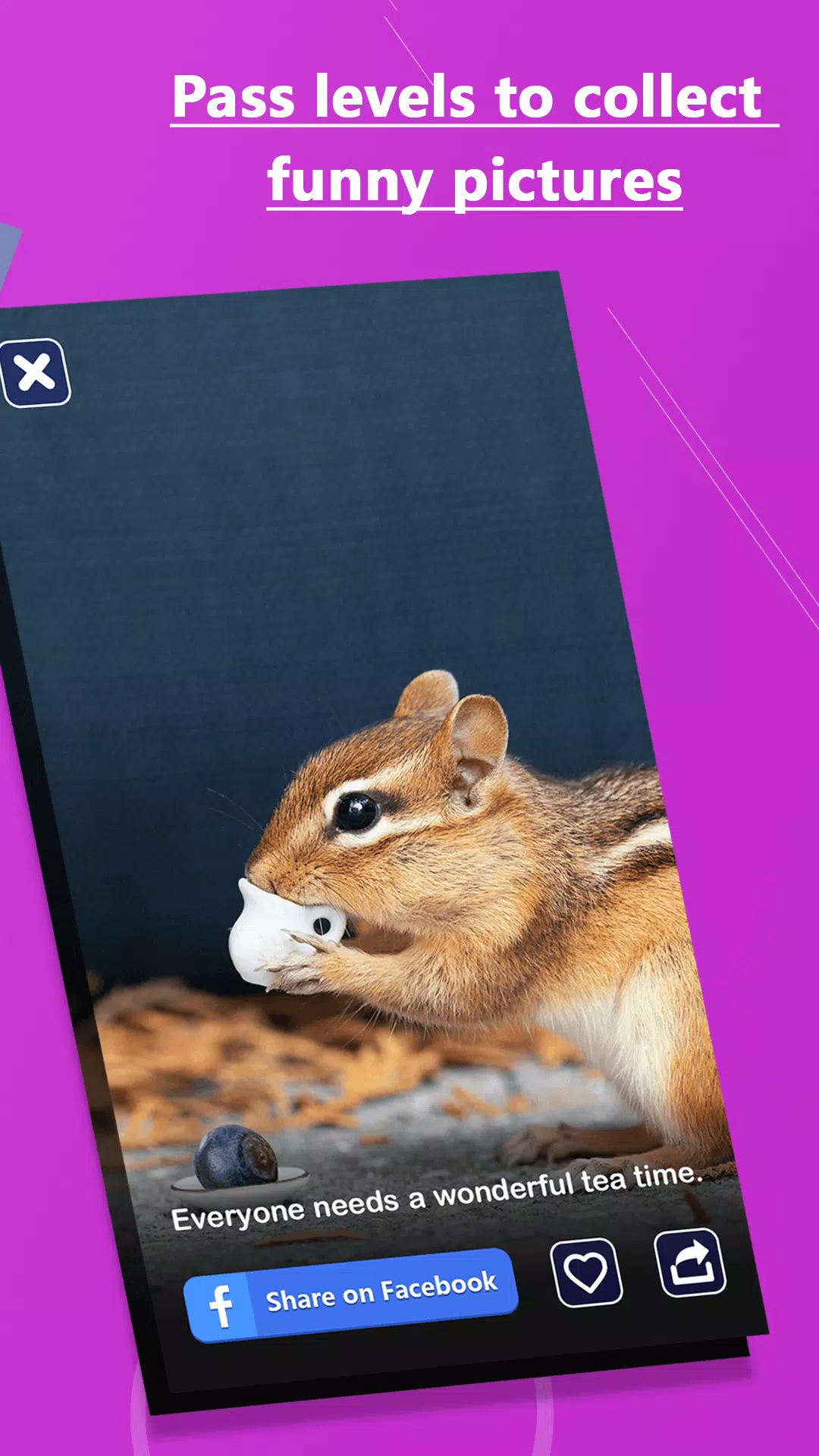 单词拼写 单词拼写