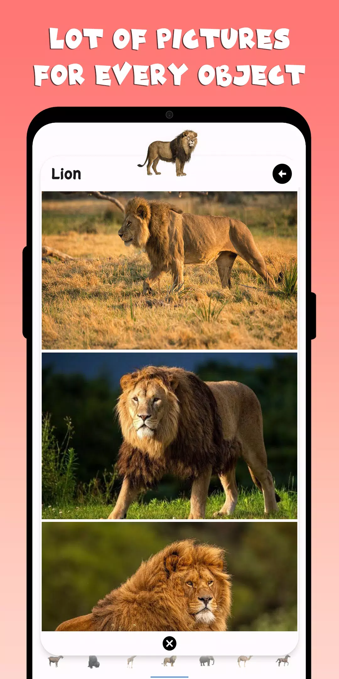 宝宝的第一个单字和教育游戏 宝宝的第一个单字和教育游戏