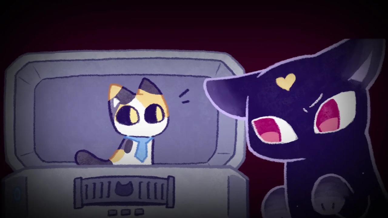 对人类过敏的猫 对人类过敏的猫