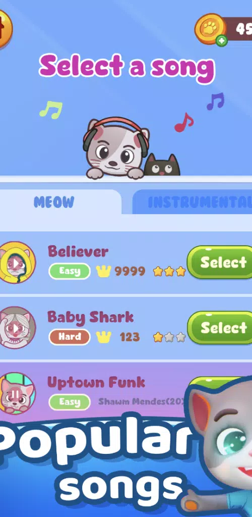 猫回家的路 猫回家的路