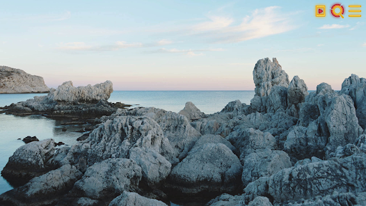 寻找猫：隐藏对象3