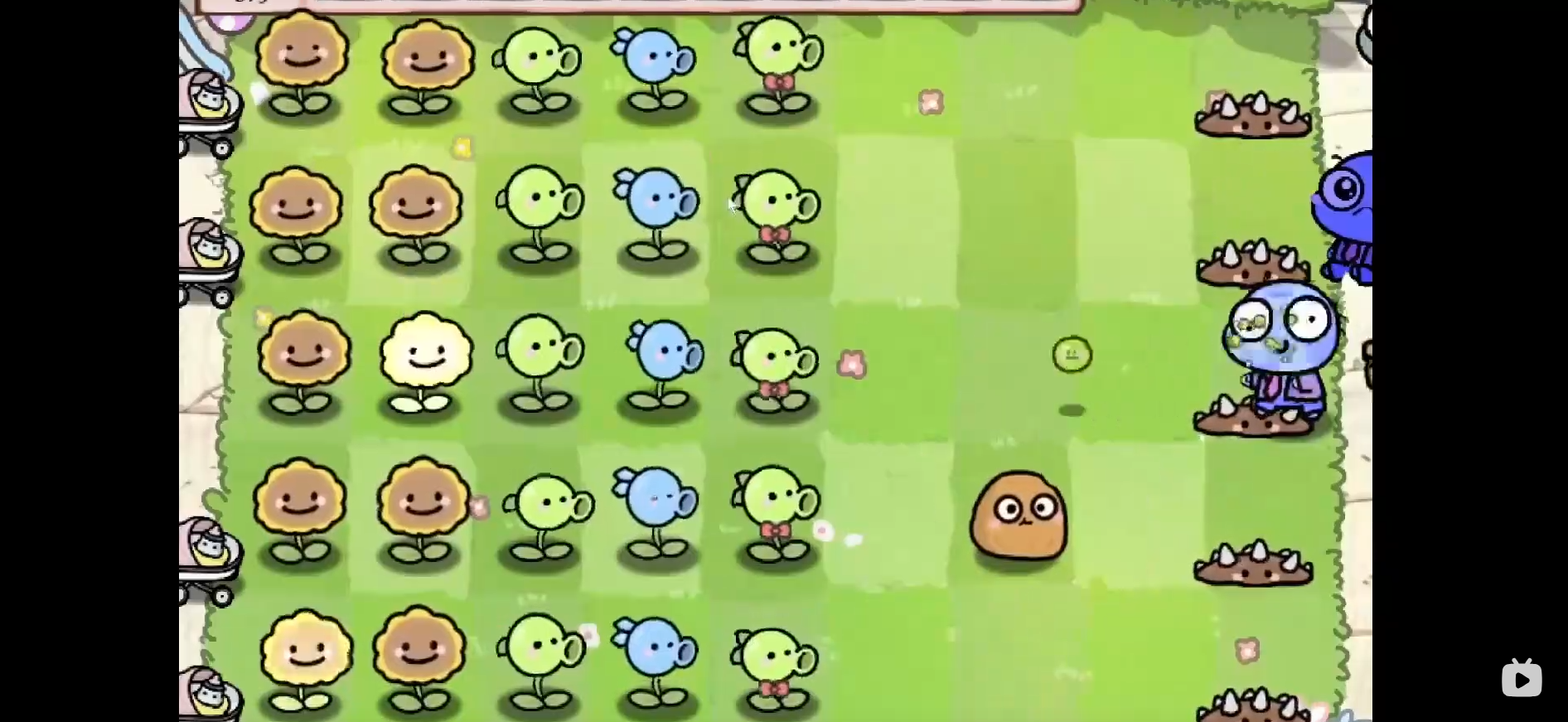 植物大战僵尸幼儿园版