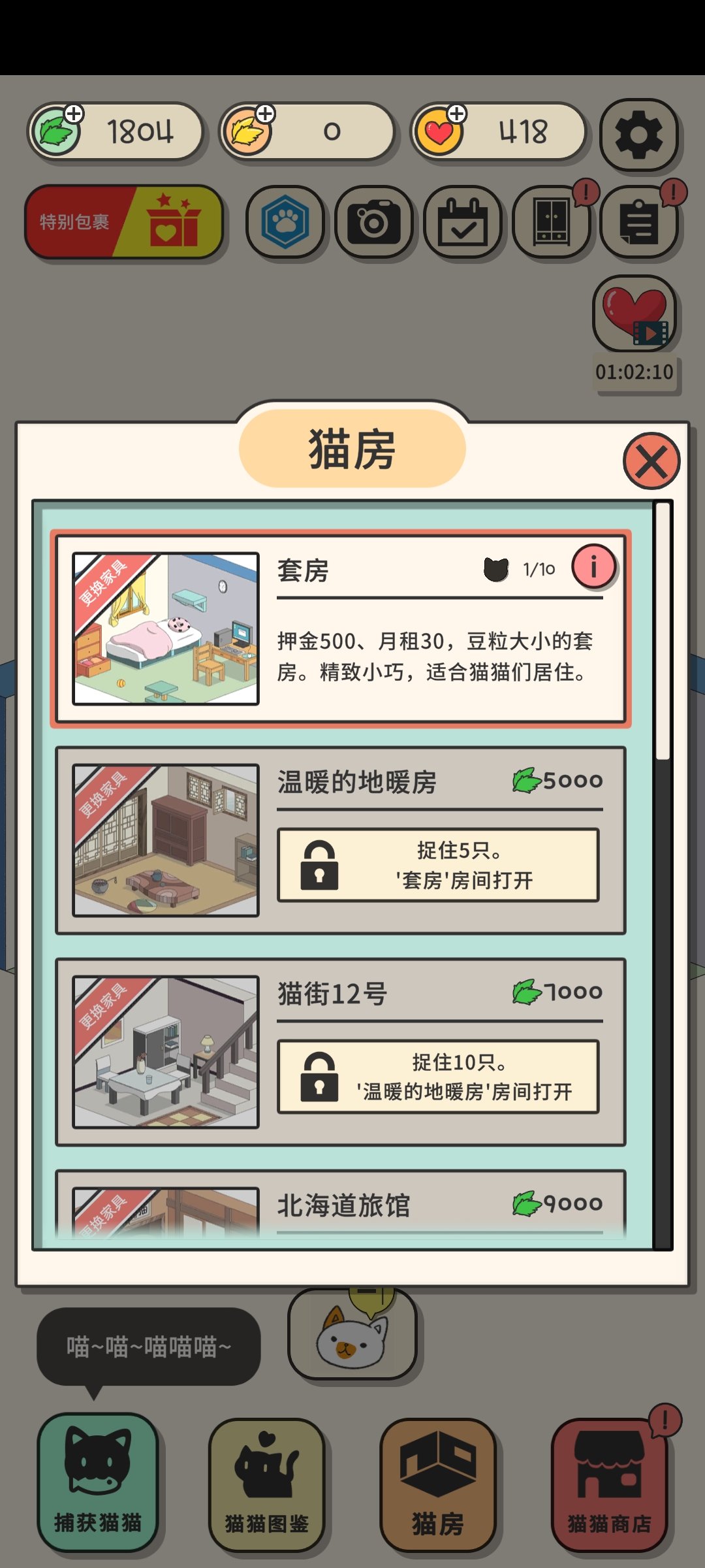 小猫咪快过来 小猫咪快过来