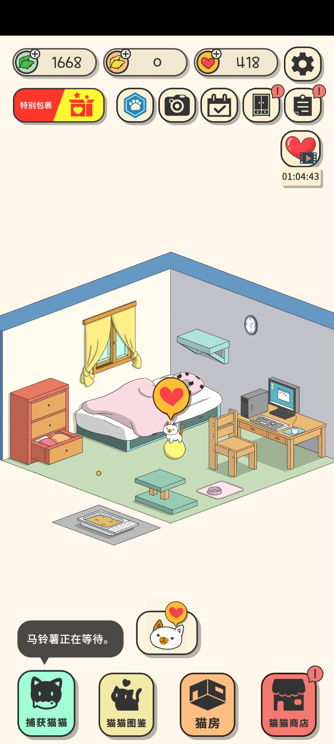 小猫咪快过来 小猫咪快过来