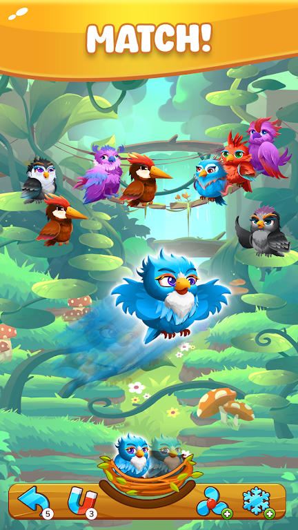 匹配的鸟:家庭故事 匹配的鸟:家庭故事