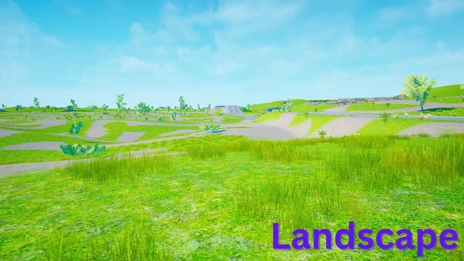 印度汽车3D驾驶