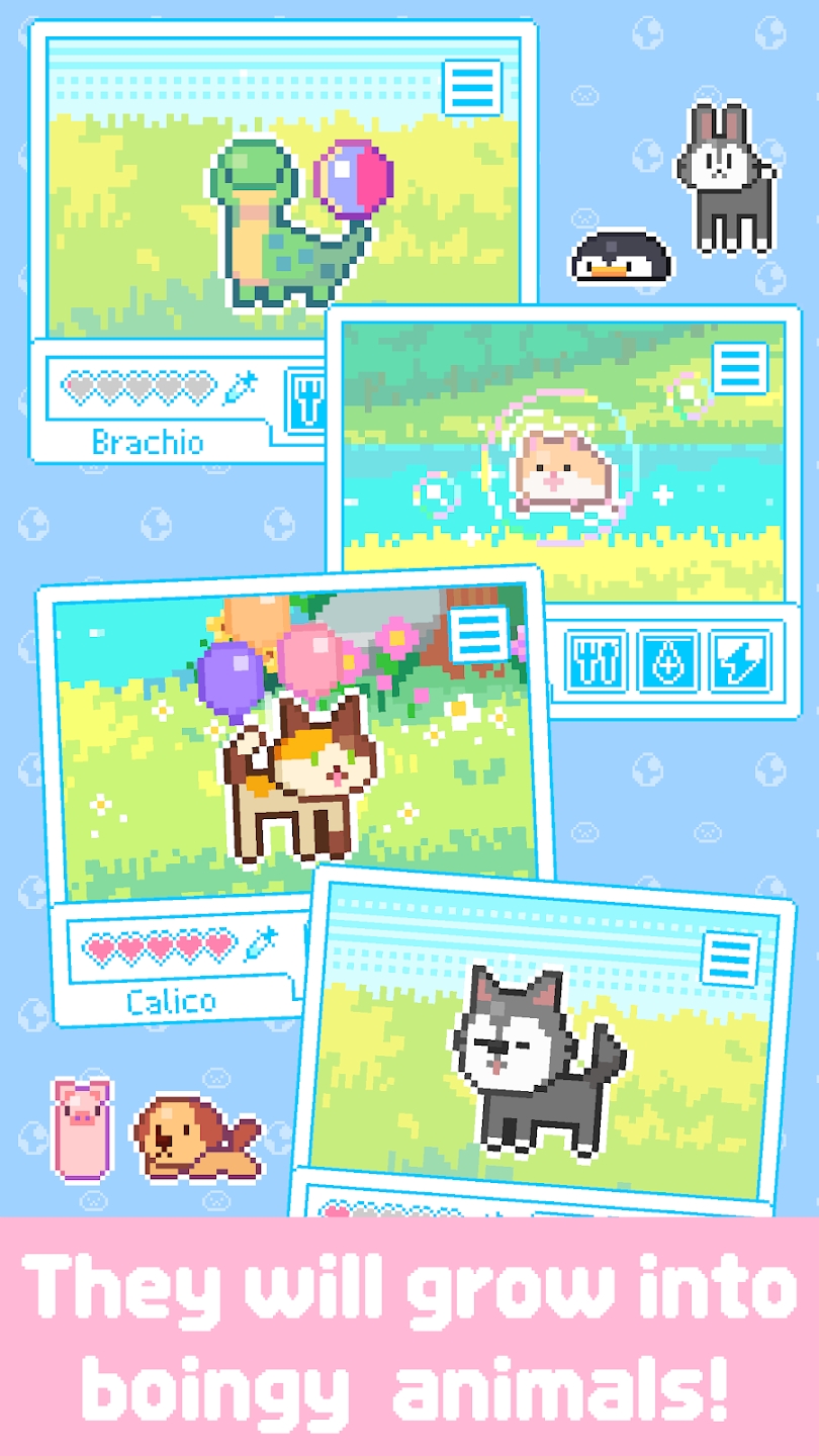 亲爱的呆萌呆萌动物们 亲爱的呆萌呆萌动物们