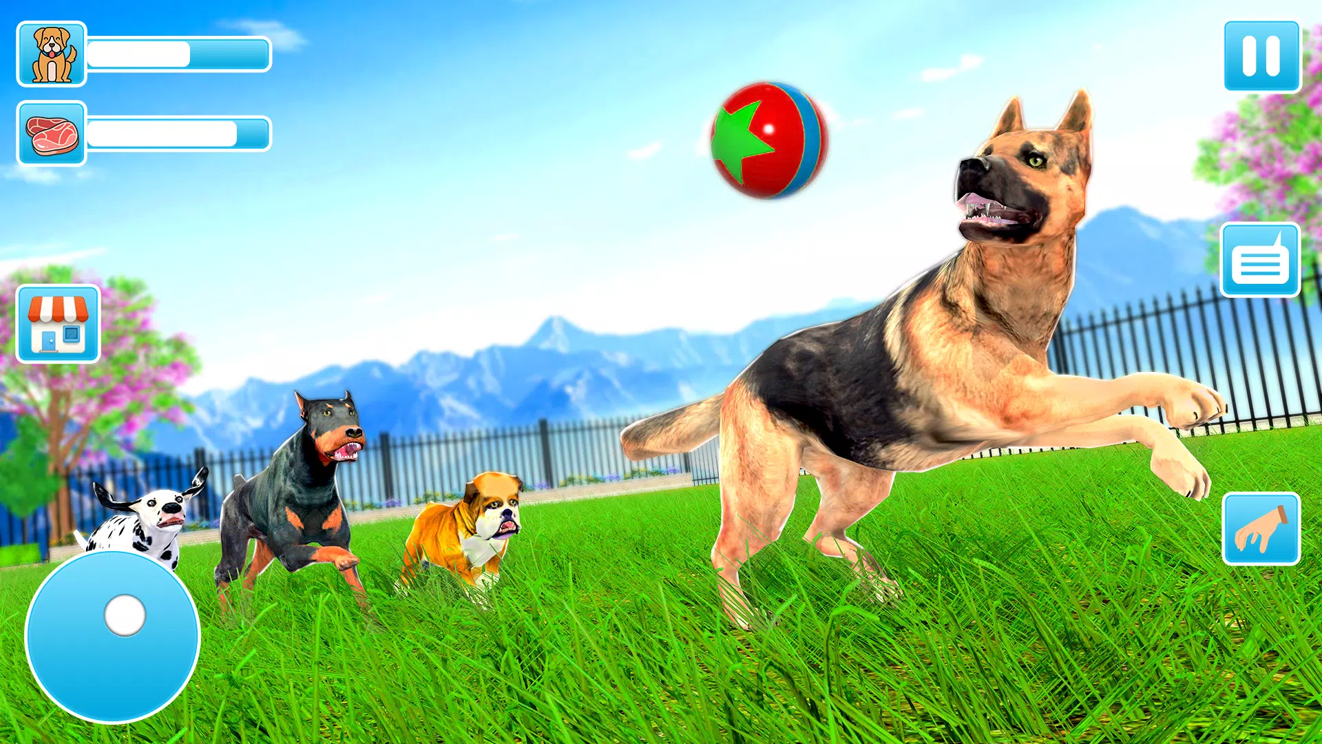 动物收容所 动物收容所