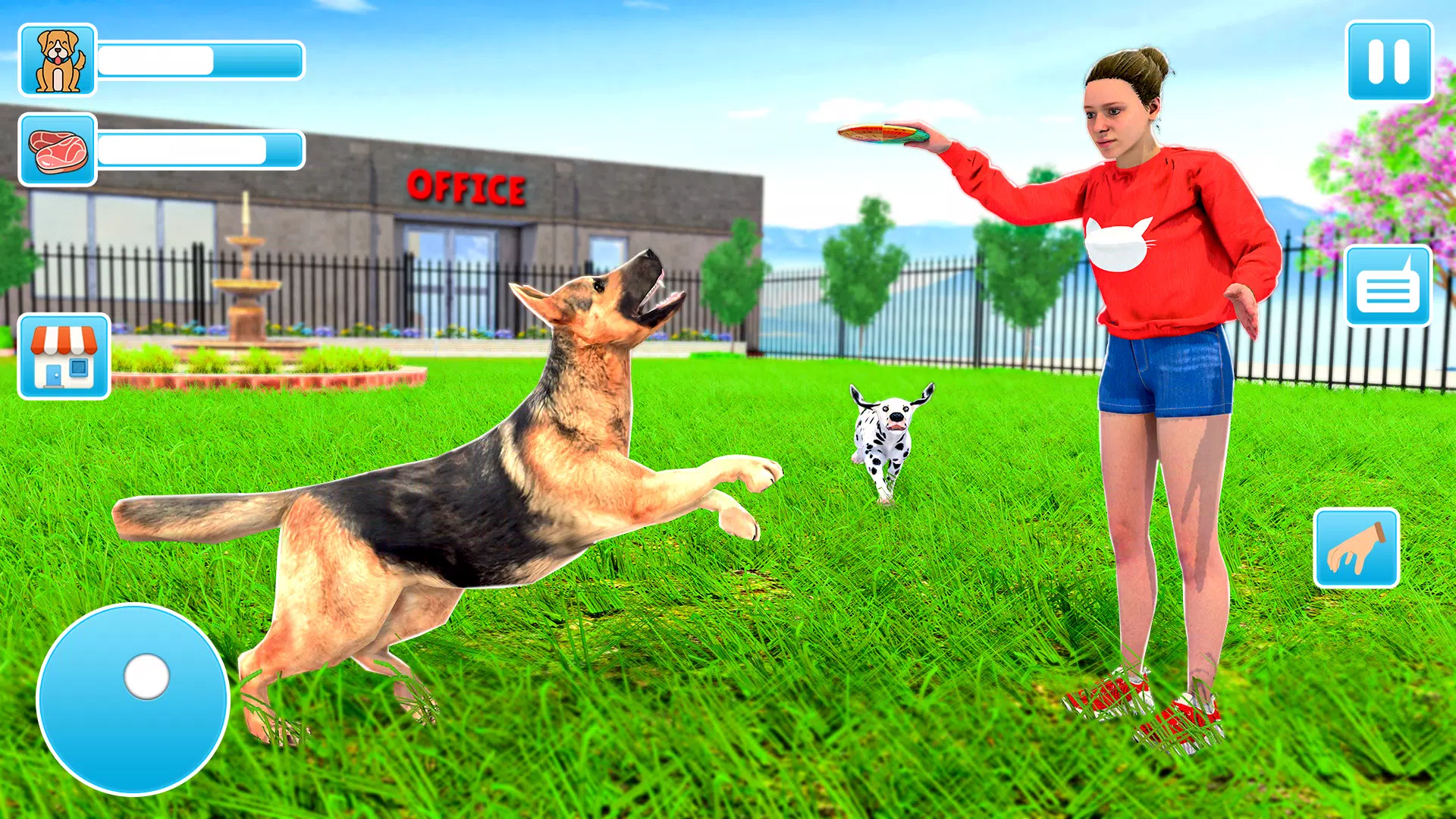 动物收容所 动物收容所