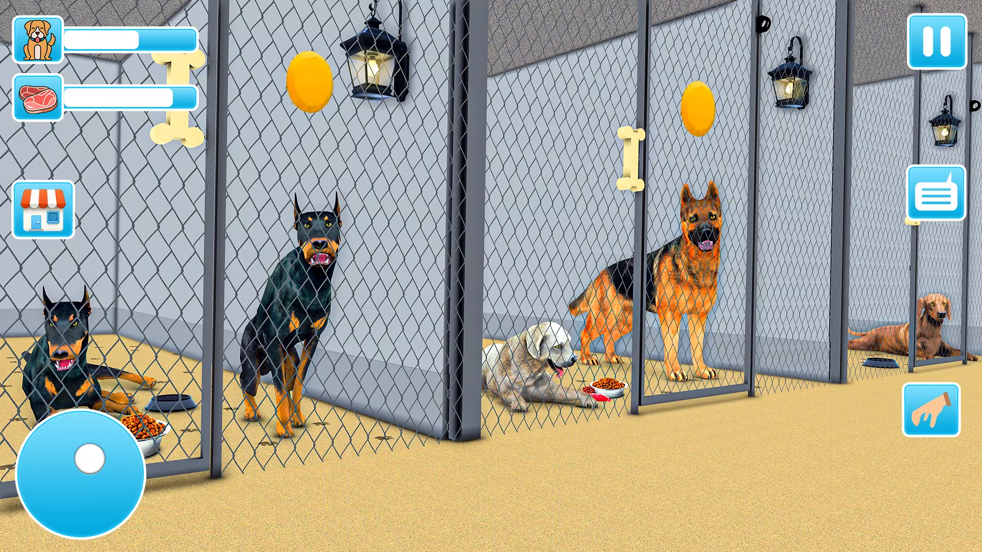 动物收容所 动物收容所