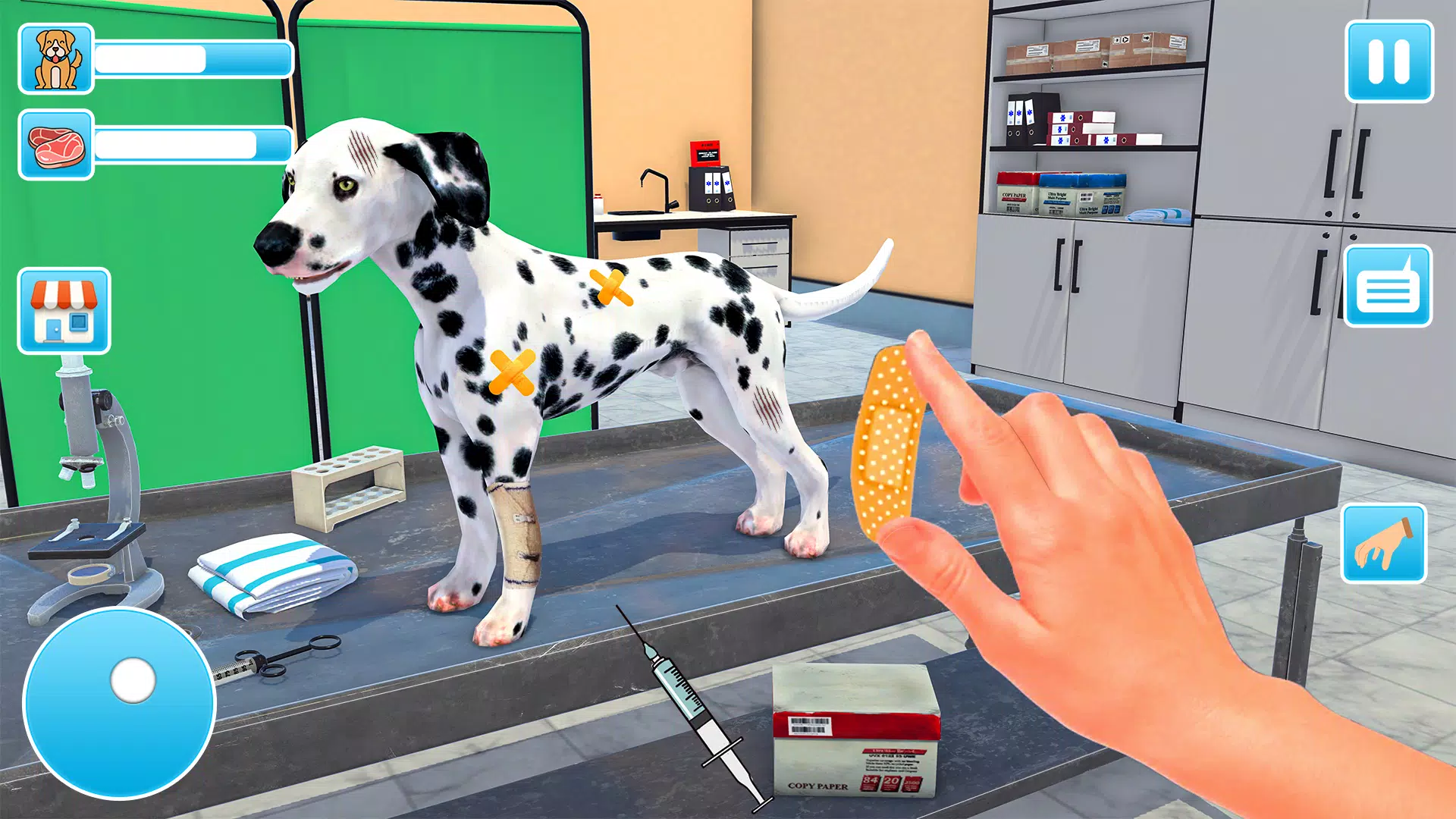 动物收容所 动物收容所