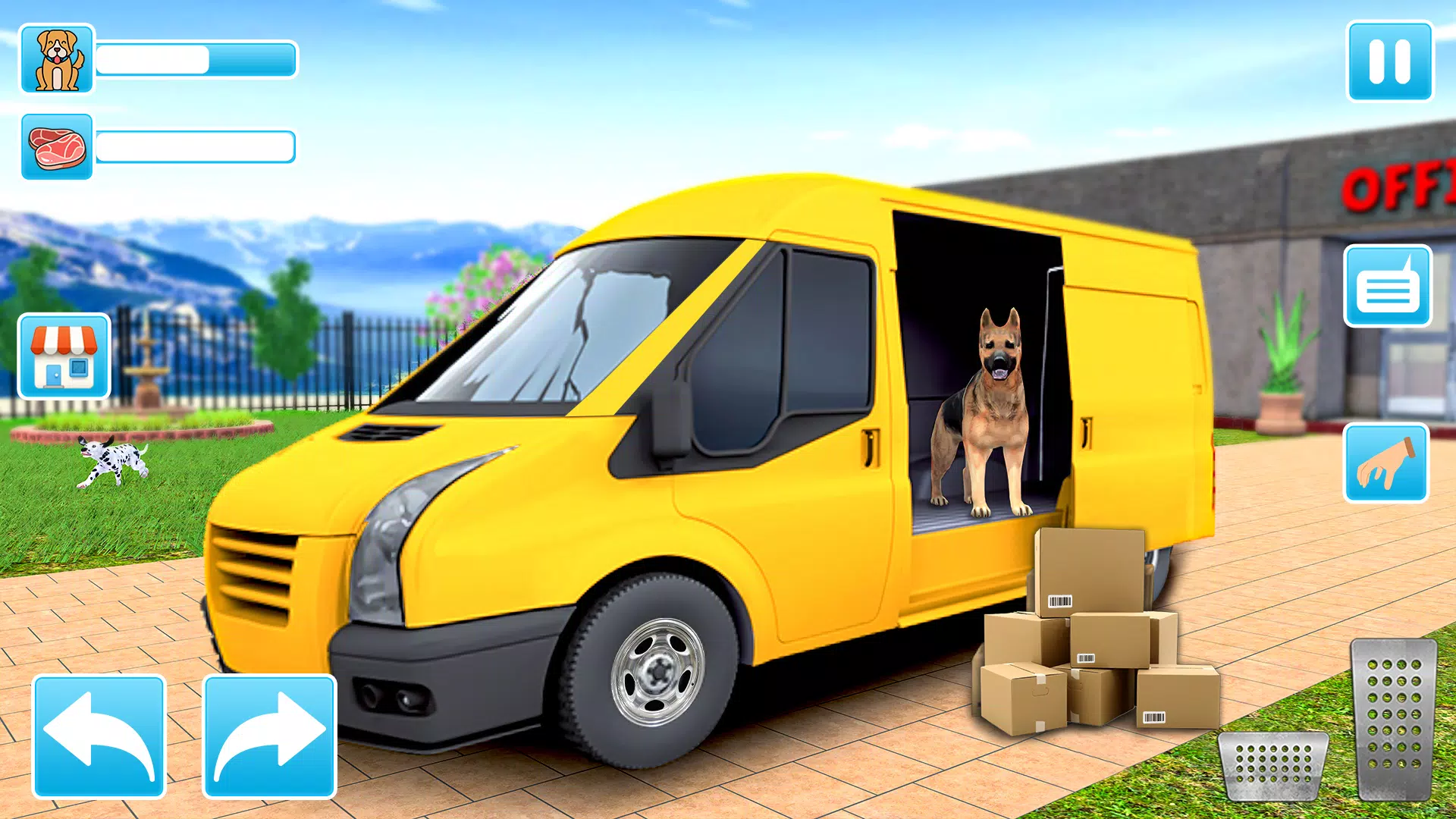 动物收容所 动物收容所