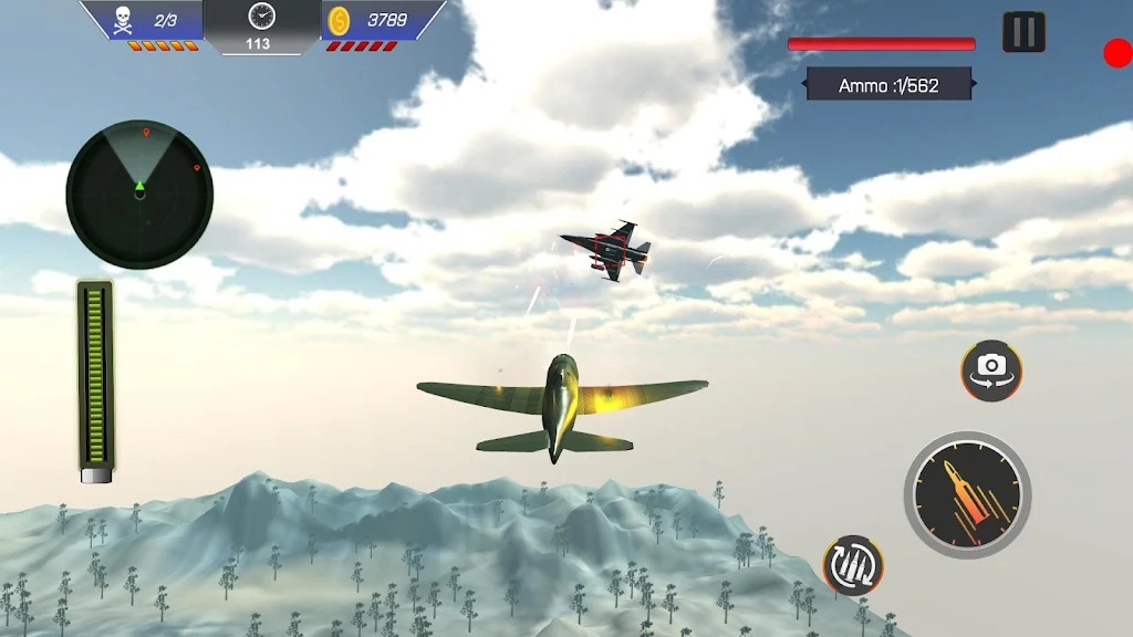 空战:战斗打击 空战:战斗打击