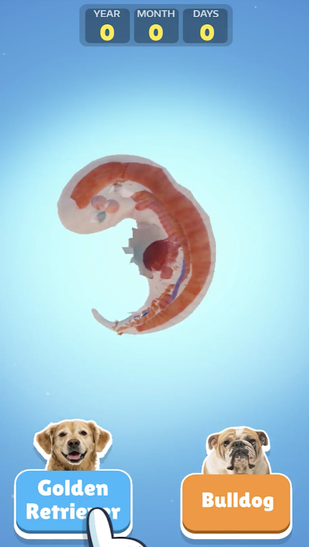 狗狗生活模拟器 狗狗生活模拟器