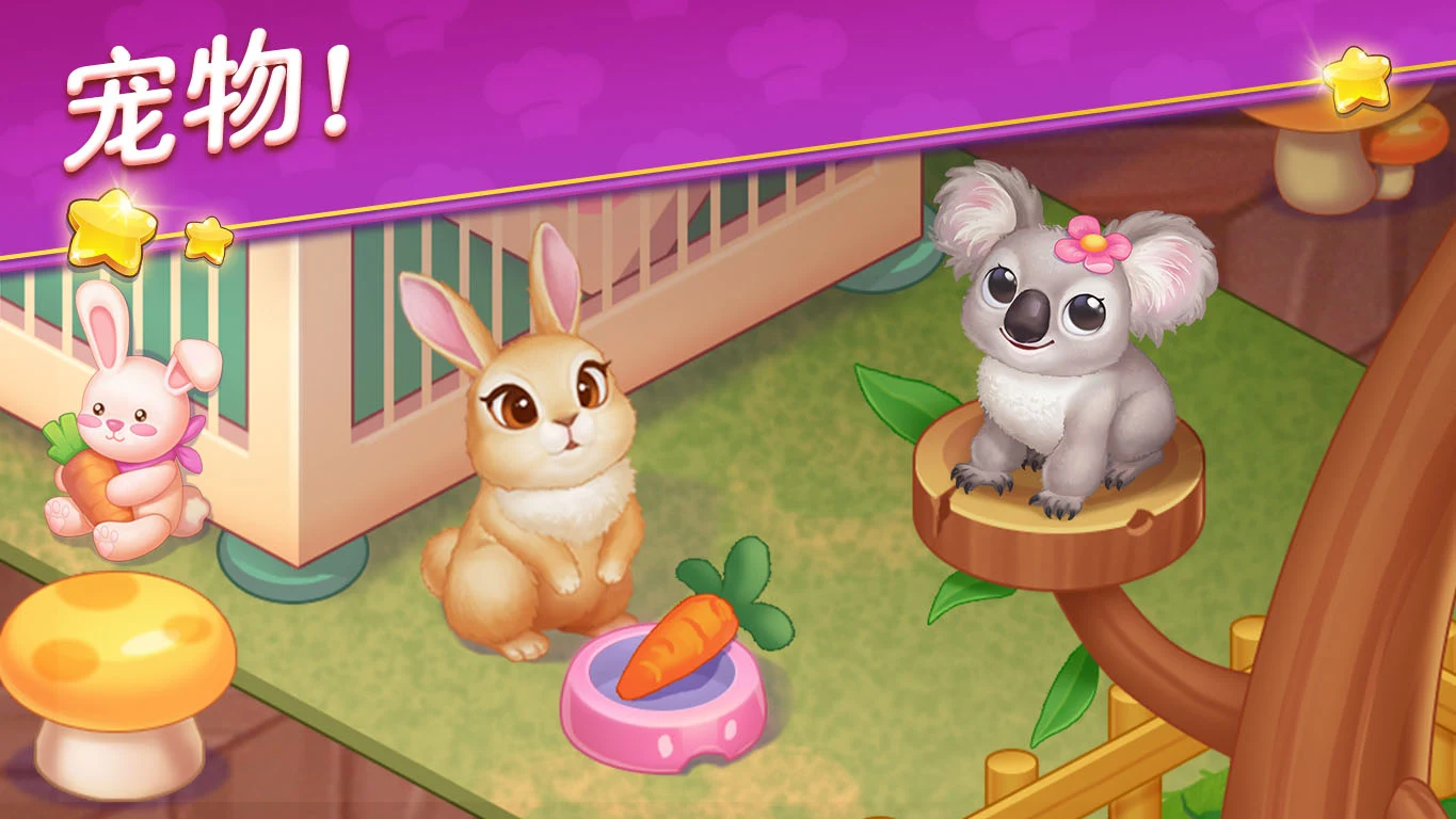 星厨志愿 星厨志愿