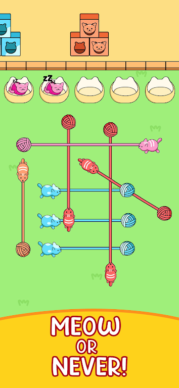 收集猫咪线团 收集猫咪线团