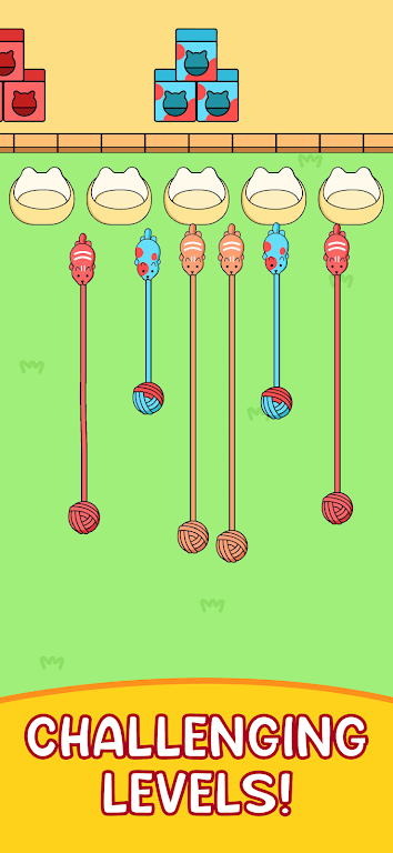 收集猫咪线团 收集猫咪线团