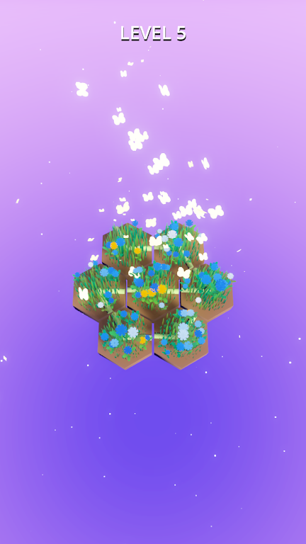 小花园:旋转与绽放 小花园:旋转与绽放