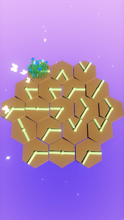 小花园:旋转与绽放 小花园:旋转与绽放