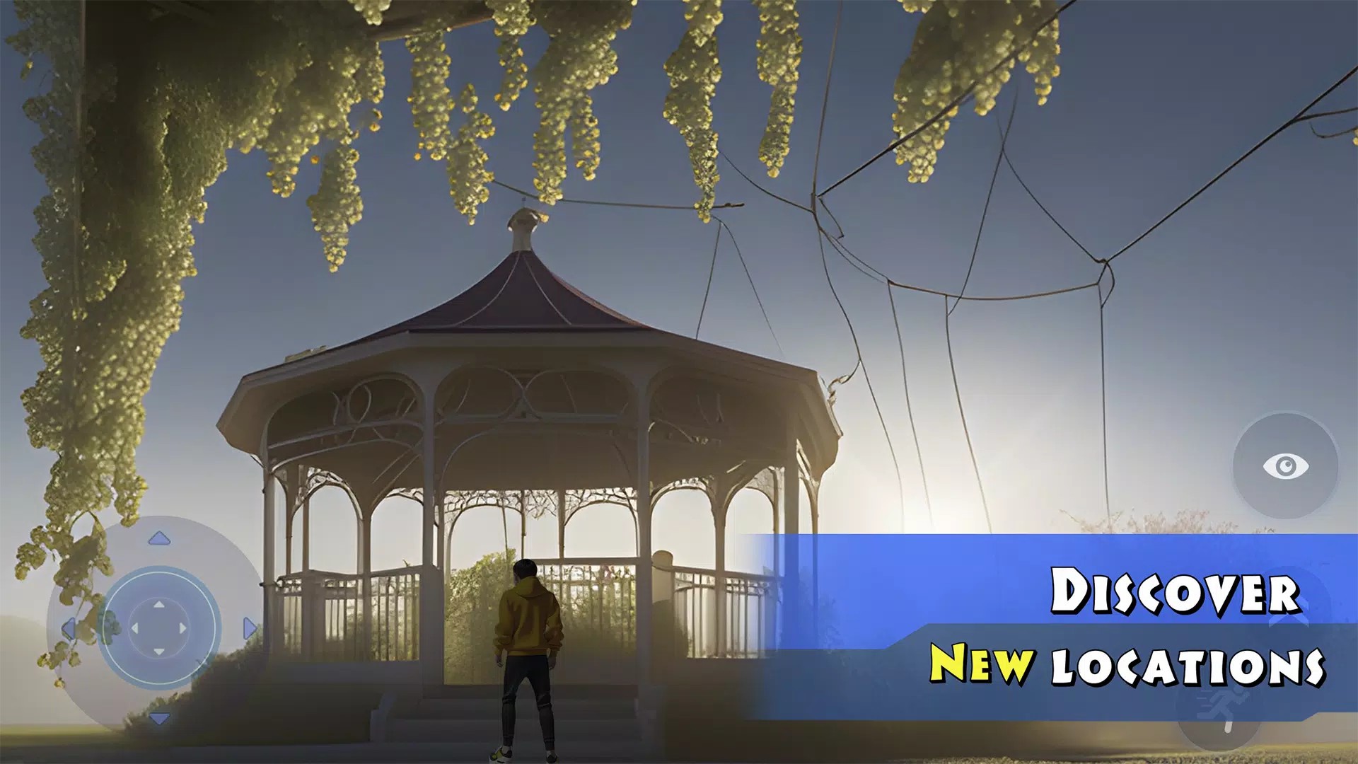 只有向上 只有向上