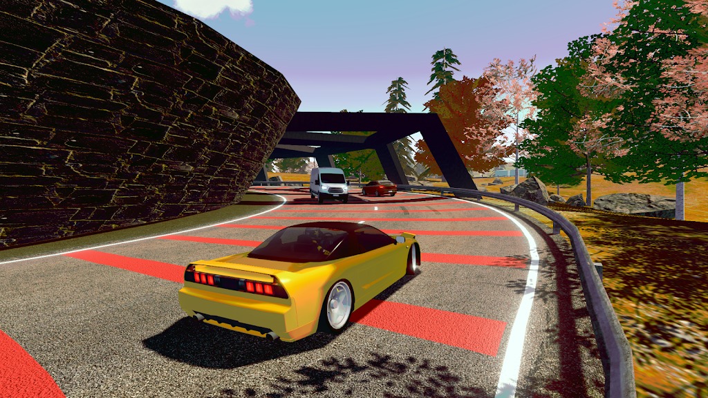 真实赛车体验 真实赛车体验