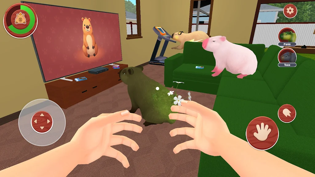 我的卡皮巴拉 我的卡皮巴拉