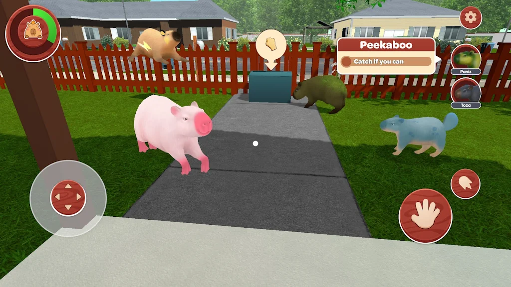 我的卡皮巴拉 我的卡皮巴拉