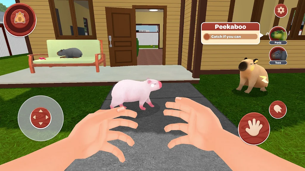 我的卡皮巴拉 我的卡皮巴拉