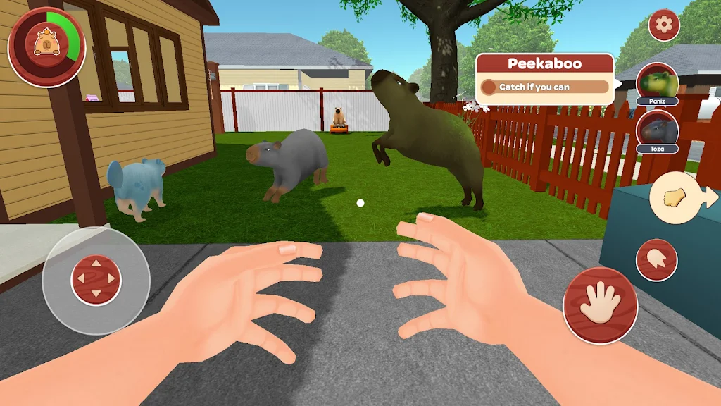 我的卡皮巴拉 我的卡皮巴拉