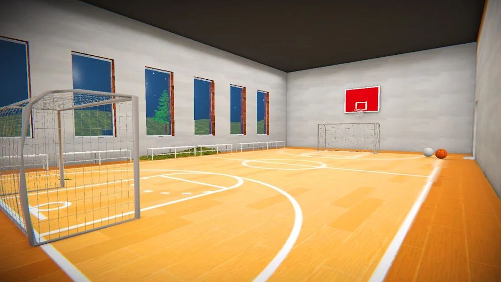 逃离蒂莫卡的学校