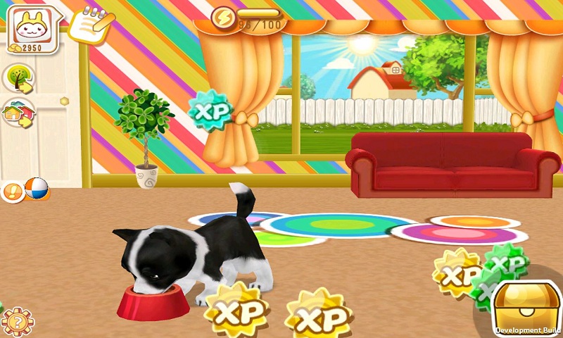 晴天小狗 晴天小狗