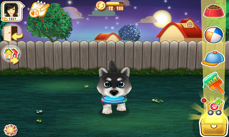 晴天小狗 晴天小狗