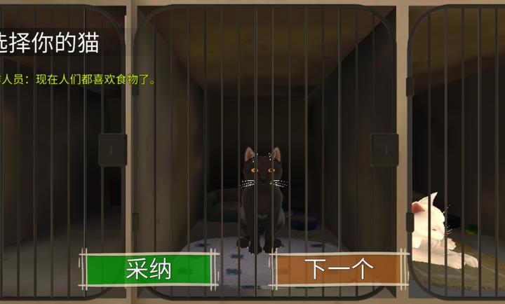 顽皮猫生活模拟 顽皮猫生活模拟