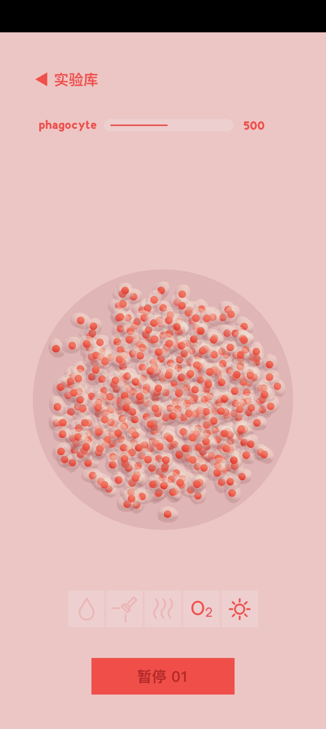 微观micro 微观micro