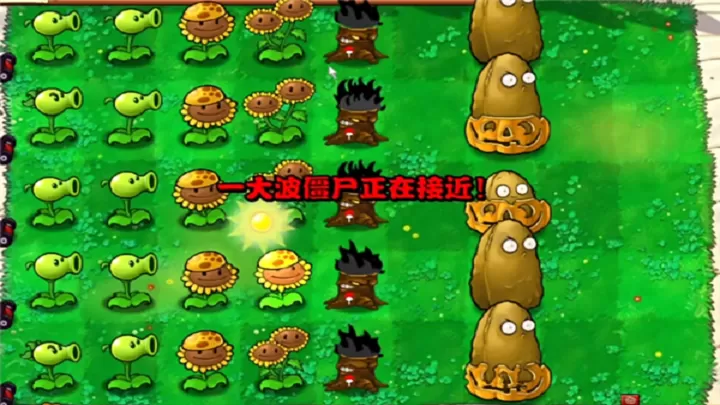 植物大战僵尸:火影版