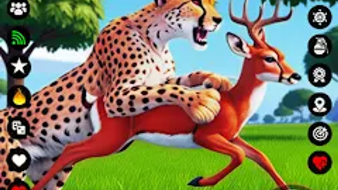 重生之我是冲冲豹